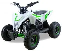 Квадроцикл MOTAX GEKKON 90cc