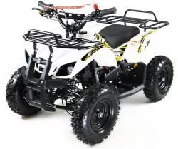 Квадроцикл MOTAX Mini Grizlik X-16 (э/с), мотосалон StelsLand