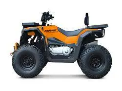Квадроцикл Progasi Race Jumper 200 Max Power
