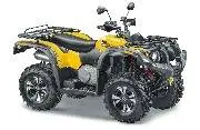 ATV-500YS-LEOPARD-yellow.jpg