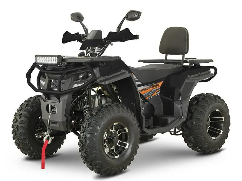Квадроцикл YACOTA VIKING LONG 250 PRO с ПСМ, мотосалон StelsLand