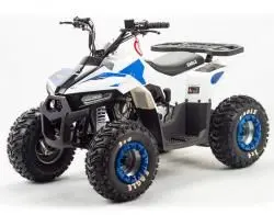 Квадроцикл подростковый MotoLand ATV EAGLE 110