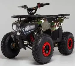 Квадроцикл WELS ATV Thunder 125 E2