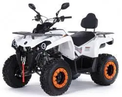 Квадроцикл MOTAX ATV Grizlik 200 Ultra
