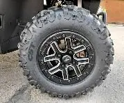 segway_fugleman15