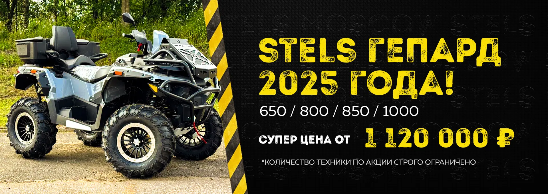 Акция Гепард