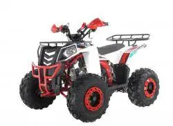 Квадроцикл WELS ATV Thunder EVO 125