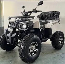 Квадроцикл MOTAX ATV GRIZLIK E3000