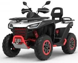 Квадроцикл Segway Snarler AT6 L Start CVTech