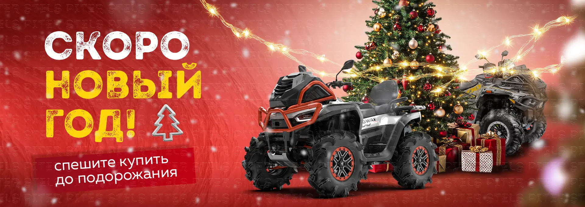 Новый год Сигвей