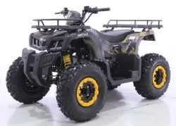 Квадроцикл MOTAX ATV Grizlik T 200 LUX