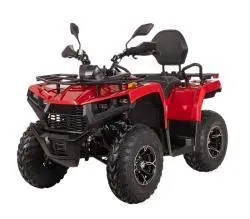 Квадроцикл Bizon YK250 Lux EFI