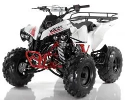 Квадроцикл MOTAX ATV Raptor LUX 125 сс, мотосалон StelsLand