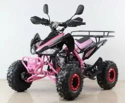 Квадроцикл MOTAX ATV T-Rex Super LUX 125 сс, мотосалон StelsLand