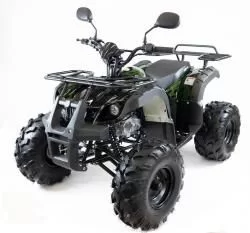Квадроцикл MOTAX ATV Grizlik-8 125 cc, мотосалон StelsLand