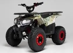 Квадроцикл WELS ATV Thunder E2 X