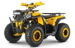 Квадроцикл WELS ATV Thunder Trail 200