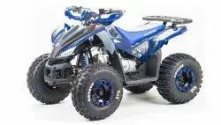 Квадроцикл подростковый MotoLand ATV COYOTE 125