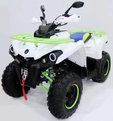 Квадроцикл MOTAX ATV Grizlik 200 New, мотосалон StelsLand