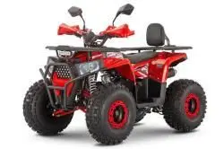 Квадроцикл WELS ATV Trail 125 Pro
