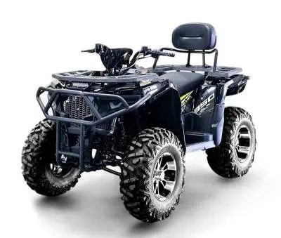 Квадроцикл Bizon ZX350