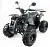 Квадроцикл MOTAX ATV Grizlik-8 125 cc, мотосалон StelsLand