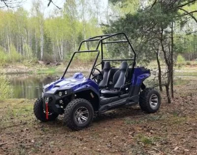 Электро багги Scanmoto RAPTOR