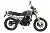 Мотоцикл Racer RC250CK-A Triumph