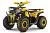 Квадроцикл WELS ATV Thunder Trail 200
