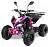 Квадроцикл MOTAX ATV T-Rex Super LUX 125 сс, мотосалон StelsLand