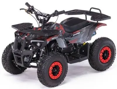 Квадроцикл MOTAX Grizlik X16 PS (мех. стартер)