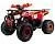 Квадроцикл MotoLand ATV Shark 125