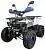 Квадроцикл ATV Classic 8+ New
