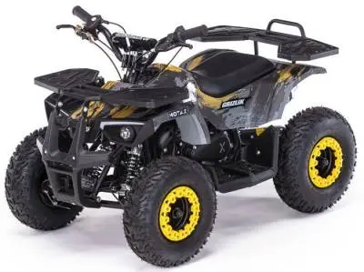 Квадроцикл MOTAX Grizlik X16 ES (эл. стартер)