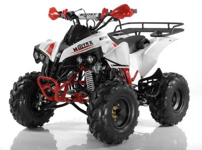 Квадроцикл MOTAX ATV Raptor Super LUX 125 сс