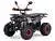 Квадроцикл MOTAX ATV Grizlik 125cc, мотосалон StelsLand