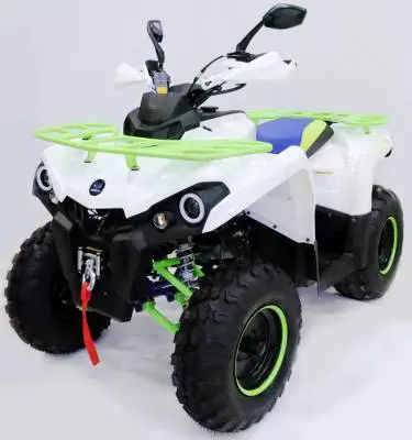Квадроцикл MOTAX ATV Grizlik 200 New