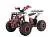 Квадроцикл WELS ATV Thunder EVO 125