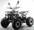 Квадроцикл MOTAX ATV Grizlik W8 125сс, мотосалон StelsLand
