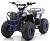 Квадроцикл MOTAX ATV Grizlik A110, мотосалон StelsLand