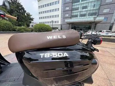 Скутер WELS VERDE