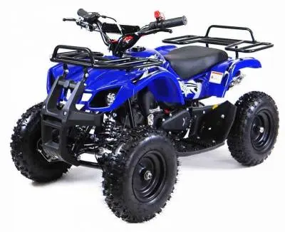 Квадроцикл MOTAX Mini Grizlik X-16 800W