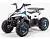 Квадроцикл подростковый MotoLand ATV EAGLE 110