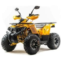 Квадроцикл подростковый MotoLand WILD 125 X PRO