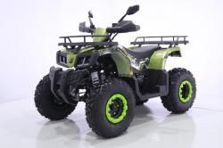 Квадроцикл YACOTA WARRIOR 200 PRO