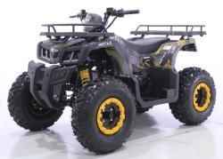 Квадроцикл MOTAX ATV Grizlik T 200 LUX