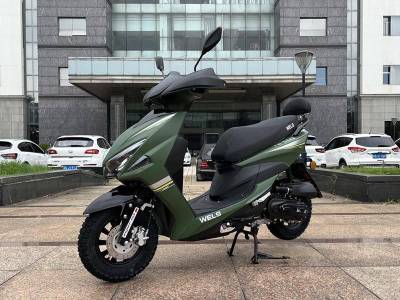 Скутер WELS SPORT FS, зеленый