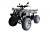 Квадроцикл WELS ATV Thunder LUX