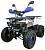 Квадроцикл ATV Classic 8+ New