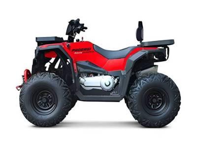 Квадроцикл Progasi Race Jumper 200 SE
